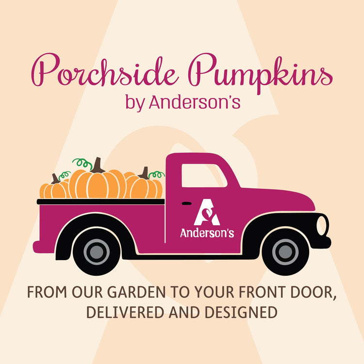 Porchside Pumpkins
