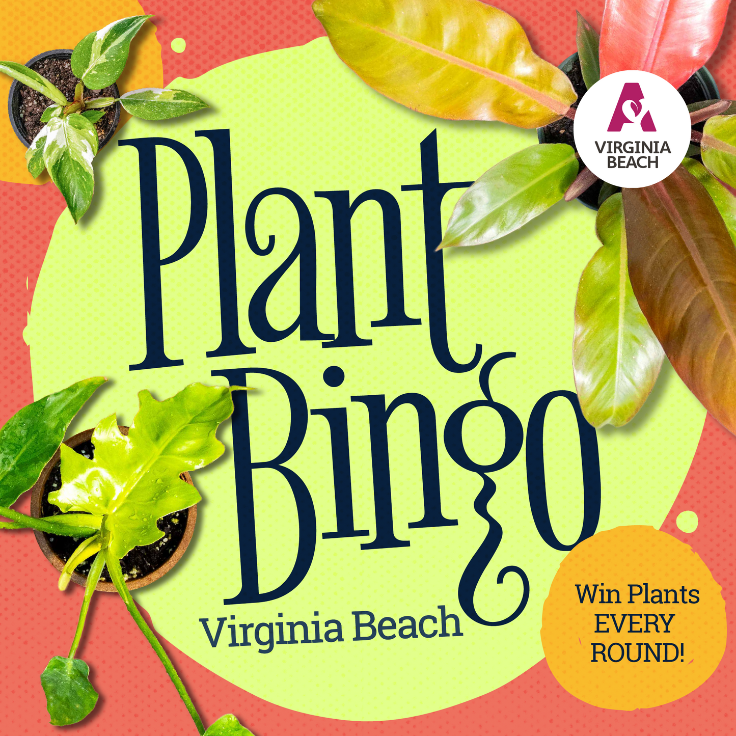 Plant Bingo at Sage Kitchen Virginia Beach
