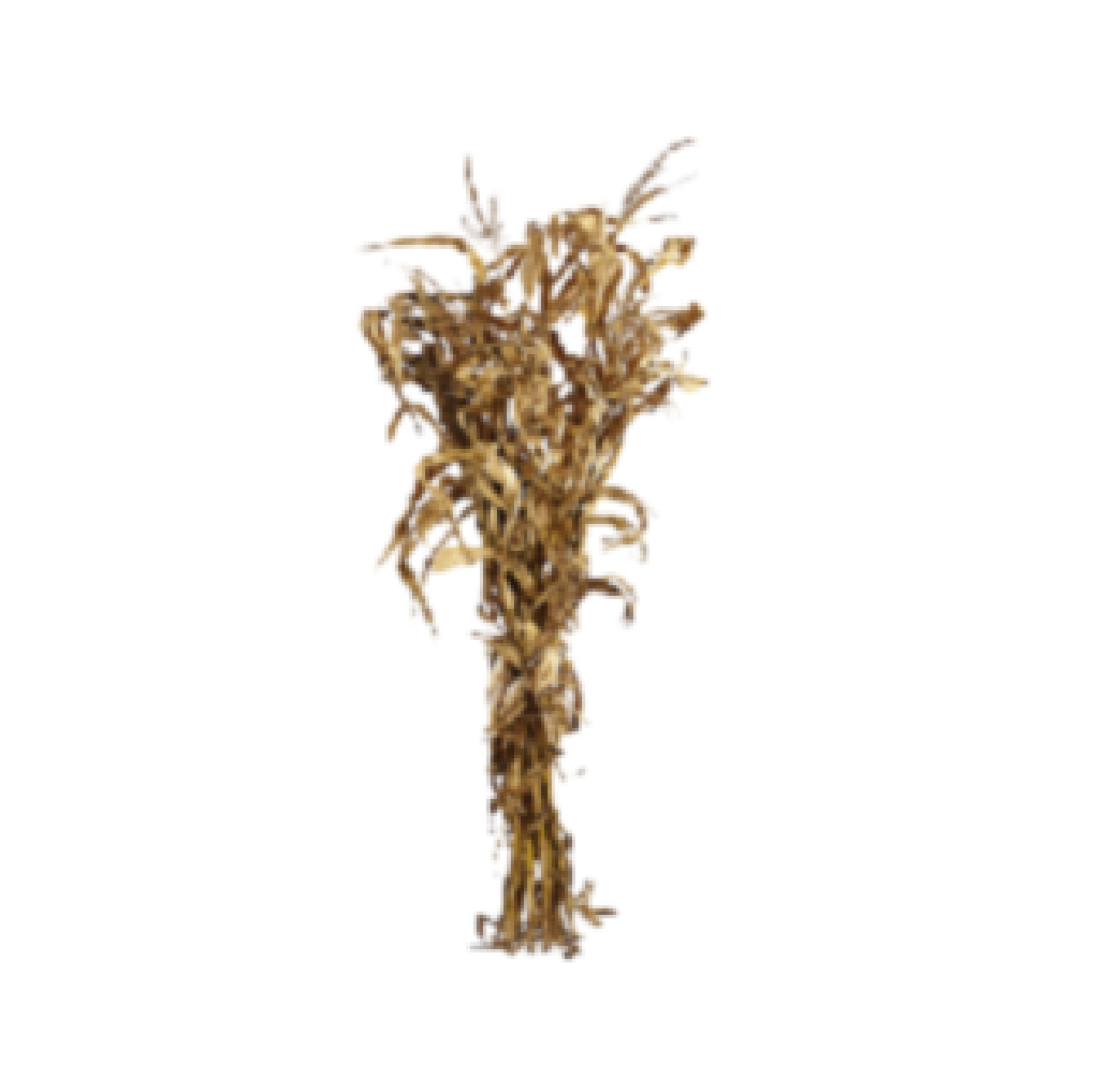 Upgrade Option: Corn Stalk Bundle