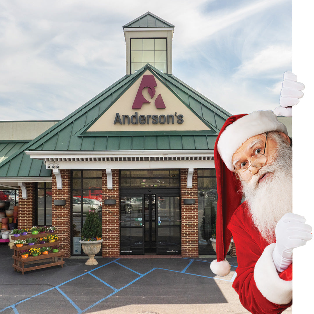 Breakfast With Santa Newport News