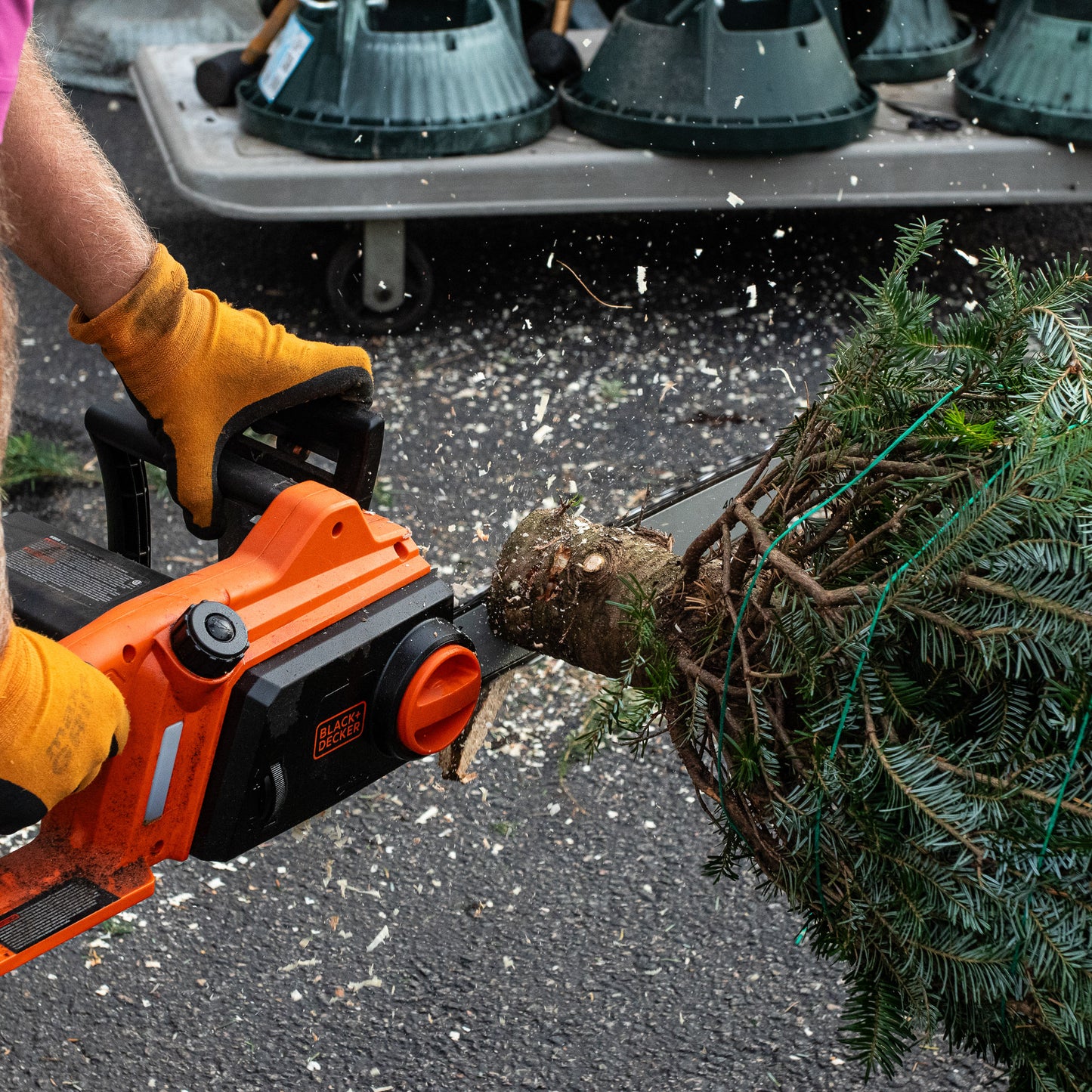 Pre-Order Fresh-Cut Fraser Fir Christmas Tree