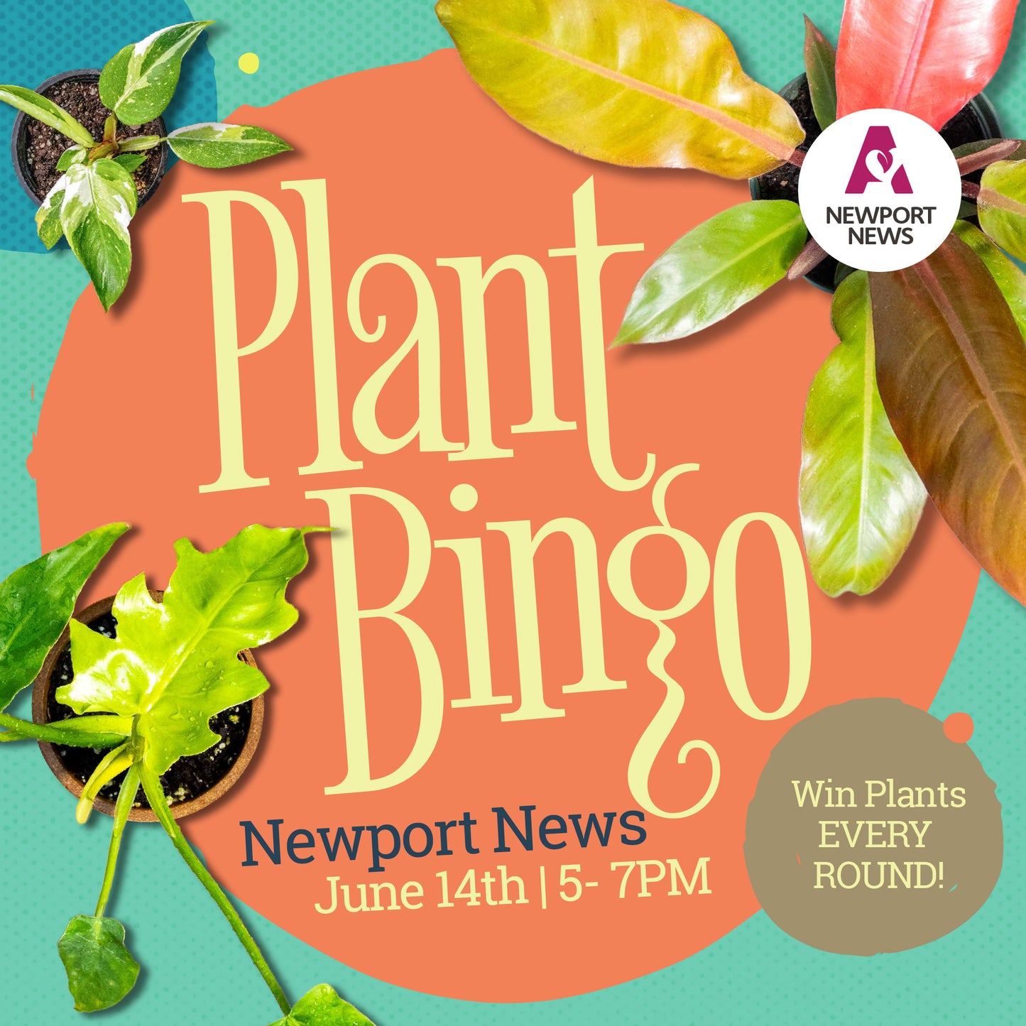 Plant Bingo at Sage Kitchen Newport News