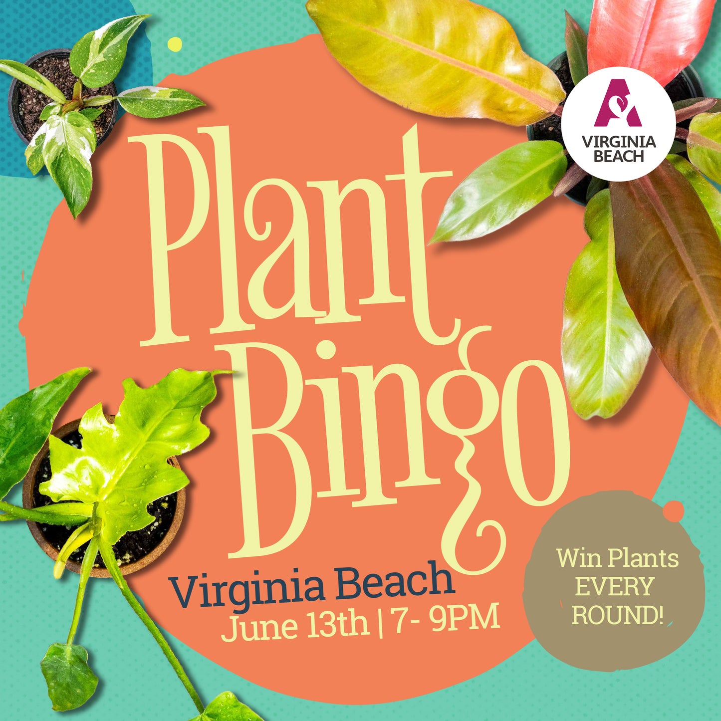 Plant Bingo at Sage Kitchen Virginia Beach