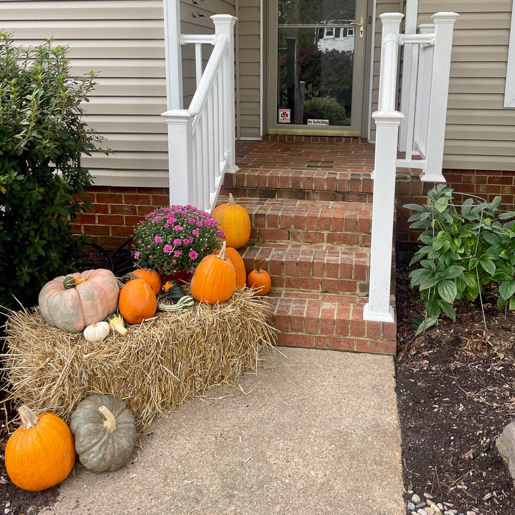 Porchside Pumpkins: Package C