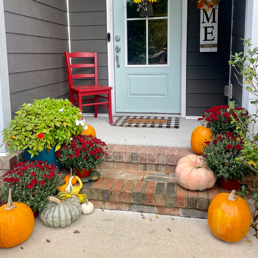Porchside Pumpkins: Package A