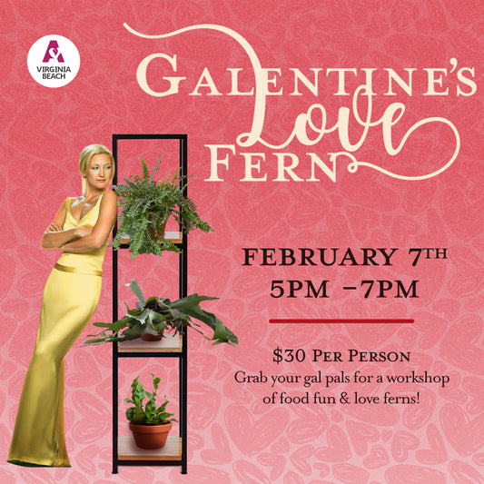 Galentine's Love Ferns at Sage Kitchen - Virginia Beach
