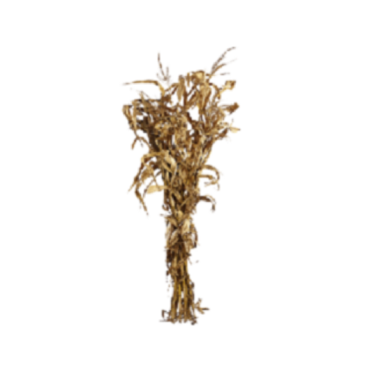 Upgrade Option: Corn Stalk Bundle