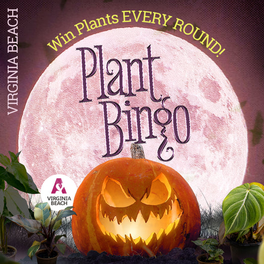 Plant Bingo at Sage Kitchen Virginia Beach