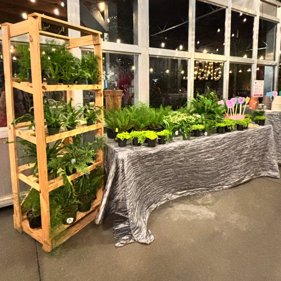 Galentine's Love Ferns at Sage Kitchen - Virginia Beach