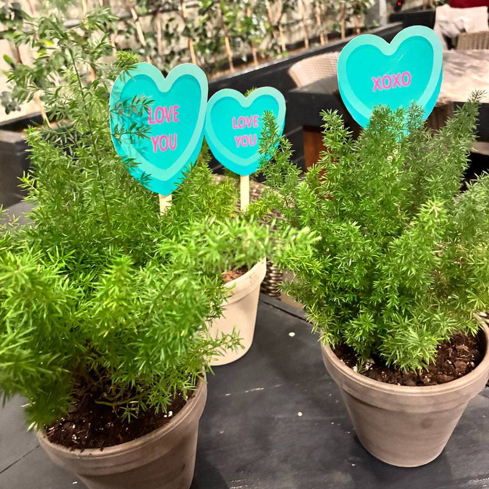 Galentine's Love Ferns at Sage Kitchen - Virginia Beach